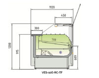 Juniper VES-10E-RC-TF Plano
