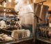 Lavavajillas industrial profesional en cocina de restaurante con vapor hostelería