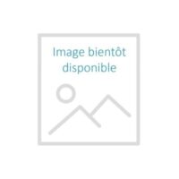 Filtro Catalizador Interno Mychef MYCHA436 — Recambio Quick y Quick Wave